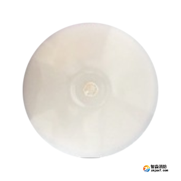 泰和安TS-ZLZC-E8W-6643自带蓄电池集中控制型半岛(中国)应急照明灯具 吸顶式