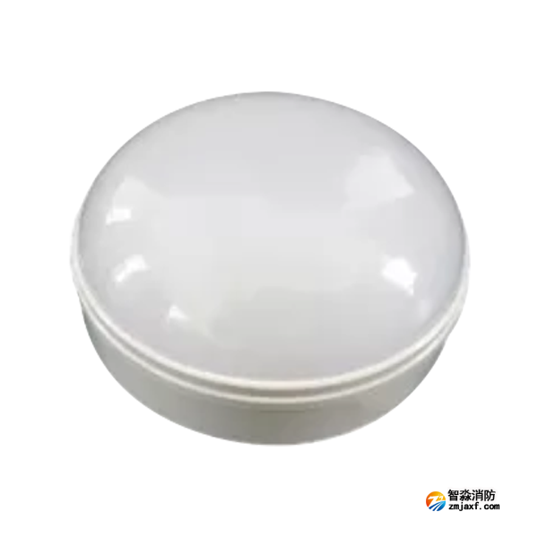 泰和安TS-ZLZC-E5W-6640自带蓄电池集中控制型半岛(中国)应急照明灯具 吸顶式