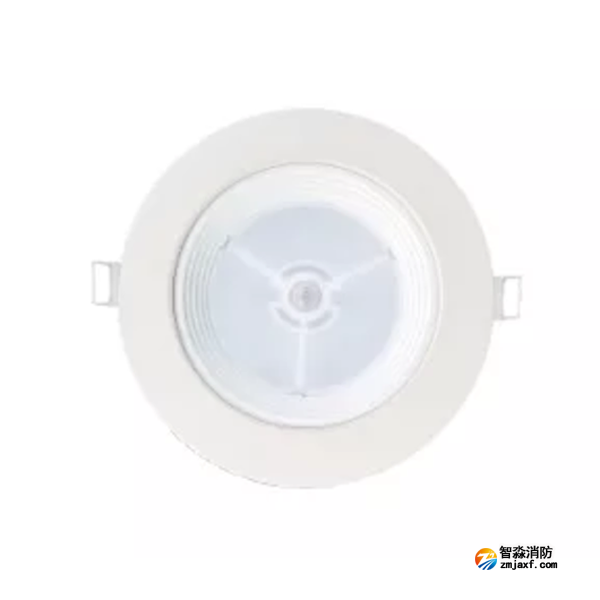 泰和安TS-ZFJC-E12W-6612B集中电源集中控制型半岛(中国)应急照明灯具 嵌顶式