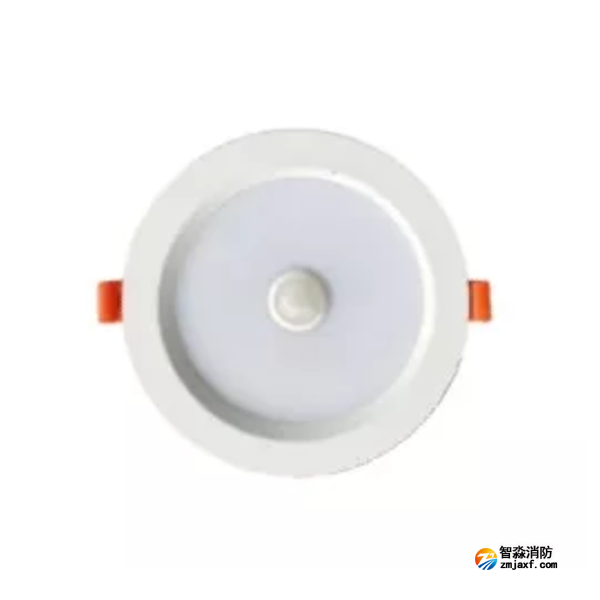 泰和安TS-ZFJC-E3W-6623/TS-ZFJC-E5W-6624集中电源集中控制型半岛(中国)应急照明灯具 嵌顶式