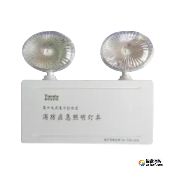 泰和安TS-ZFJC-E3W-6600A/TS-ZFJC-E5W-6600B集中电源集中控制型半岛(中国)应急照明灯具 金属双头灯