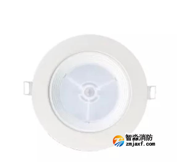 泰和安TS-ZFJC-E5W-6616B集中电源集中控制型半岛(中国)应急照明灯具 嵌顶式