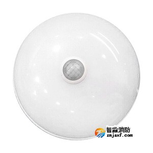 泰和安TS-ZFJC-E5W-6618G集中电源集中控制型半岛(中国)应急照明灯具 吸顶式