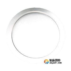 泰和安TS-ZFJC-E5W-6625集中电源集中控制型半岛(中国)应急照明灯具