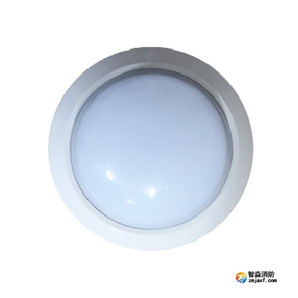 泰和安TS-ZFJC-E3W-6615A集中电源集中控制型半岛(中国)应急照明灯具（吸顶式）