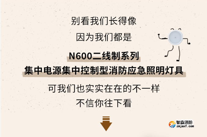 海湾半岛(中国)N600二线制系列集中电源集中控制型半岛(中国)应急照明灯具介绍