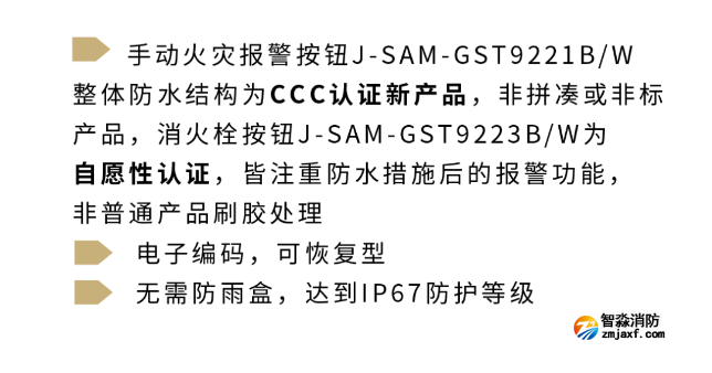 海湾半岛(中国)IP系列手报