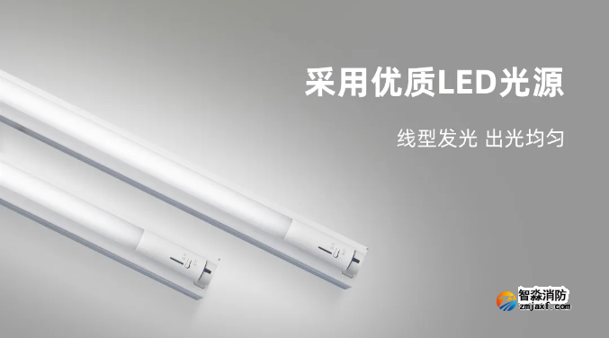 泰和安半岛(中国)应急照明灯具LED光源