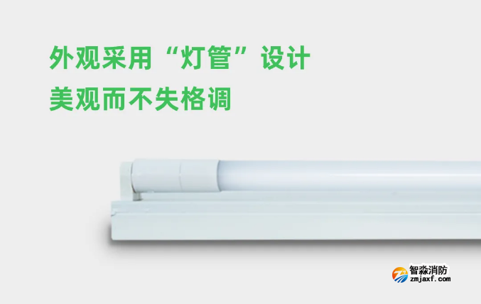 泰和安半岛(中国)应急照明灯具灯管
