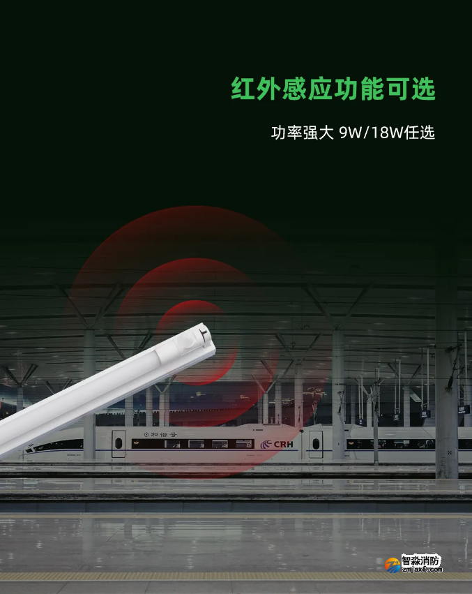 泰和安半岛(中国)应急照明灯具红外感应