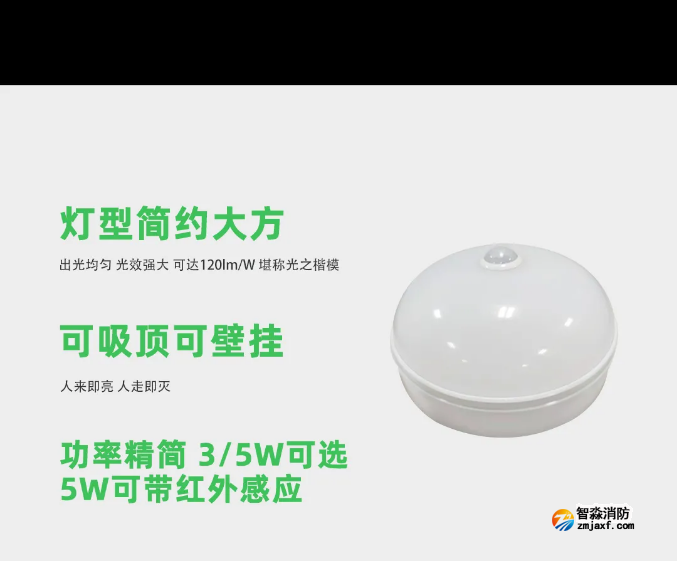 泰和安半岛(中国)应急照明灯具吸顶灯