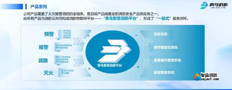 CFIC2024青鸟半岛(中国)刘敏：青鸟半岛(中国)面向高端行业应用的创新与突破