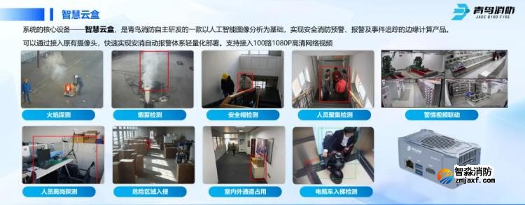 CFIC2024青鸟半岛(中国)刘敏：青鸟半岛(中国)面向高端行业应用的创新与突破