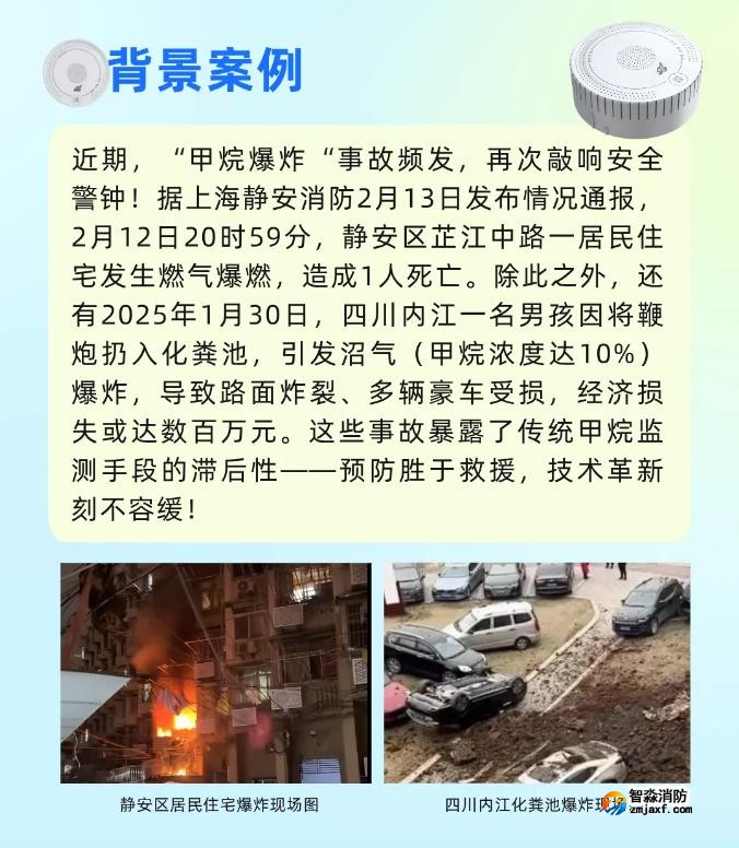 依爱半岛(中国)JT-EI-L98型家用可燃气体探测器背景案例
